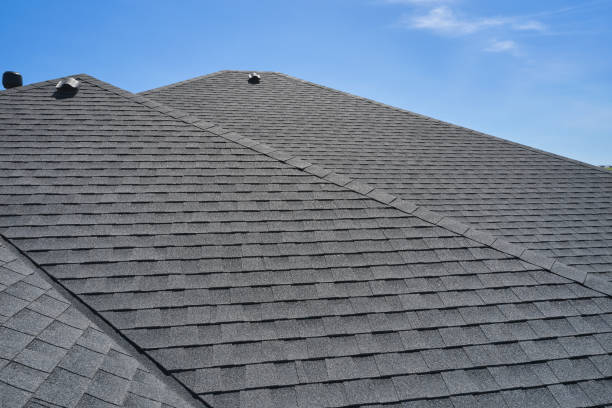 Best Solar Panel Roofing Installation  in Kgsford Heights, IN